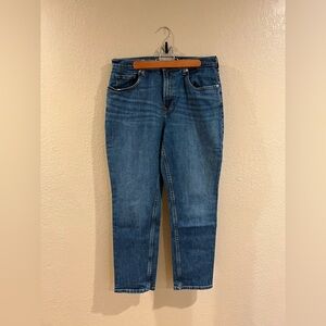 Everlane Women's High Waist Straight Leg Jeans in Blue